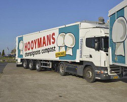 Hooymans Substrates