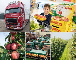 van Kessel Fruit B.V.