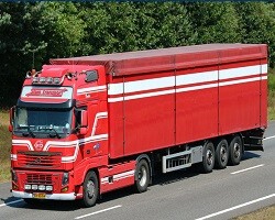 Stam Transport